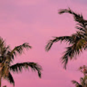 Meet your Posher, Lizzie